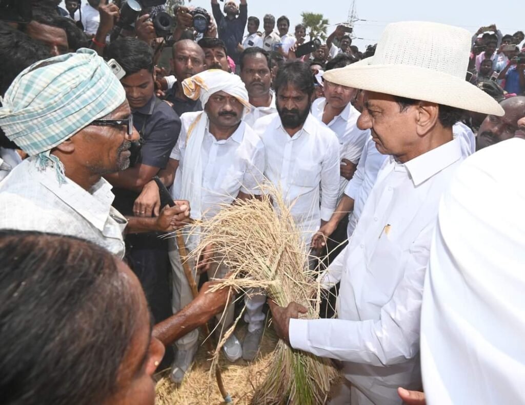 KCR polam bata