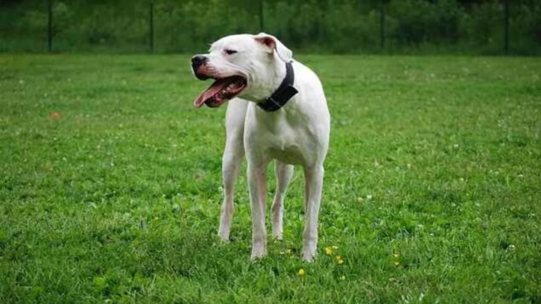 Orange And Red Modern Minimalist The Most Attractive YouTube Banner (1)