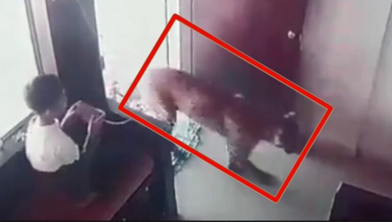 WhatsApp Image 2024-03-06 at 19.49.09