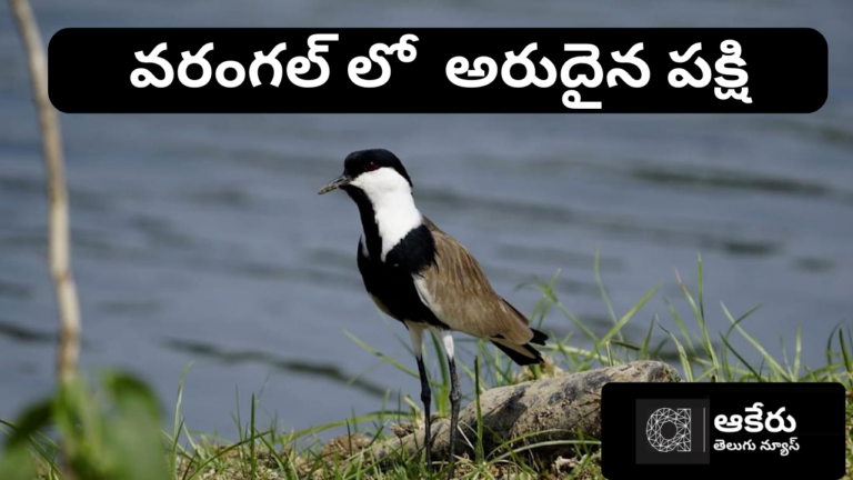 నిజాం రాజు మీద బాంబు వేసిన యోధులు వ_రంగ_ల్ వారే. (1)