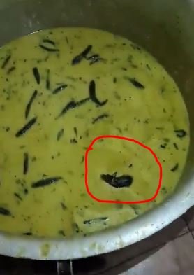 Rat in chutney of JNTU college canteen