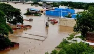 Rain Effect in Warangal District