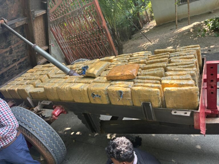 e24e52e6-ee5a-4c00-8269-560b2c8805e2