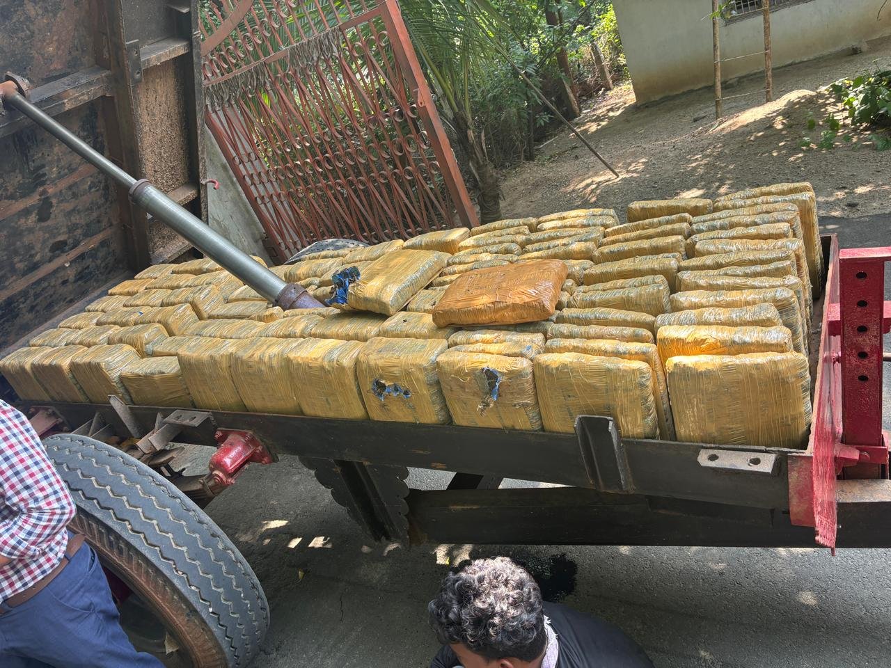 e24e52e6-ee5a-4c00-8269-560b2c8805e2