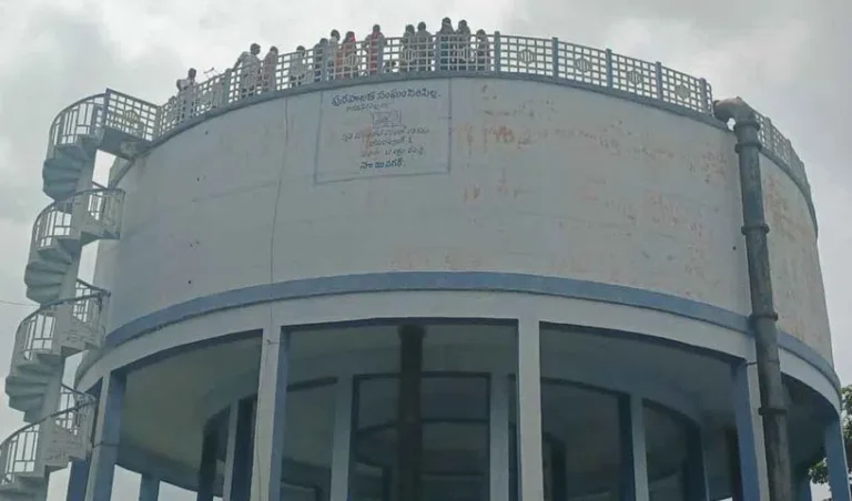 ration-shop_V_jpg--816x480-4g