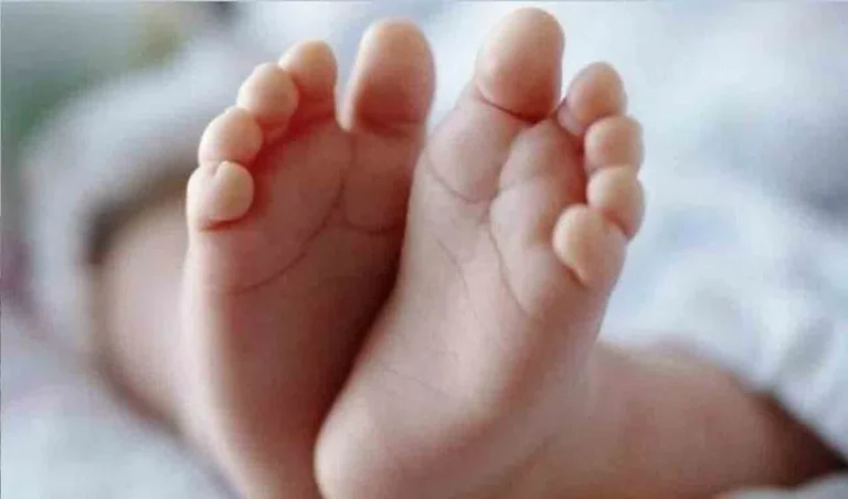 Newborn-murder_V_jpg--816x480-4g