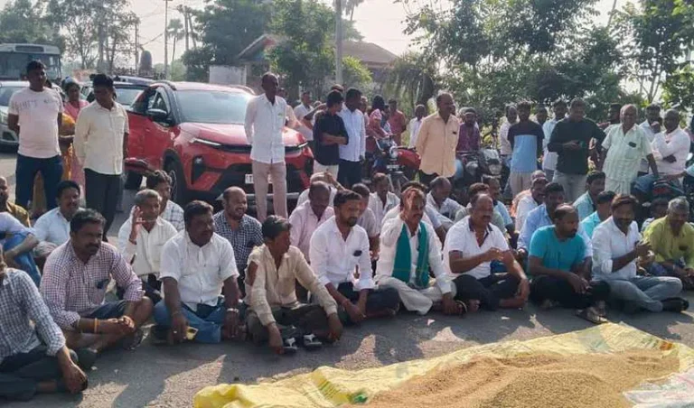 pady_V_jpg--816x480-3g