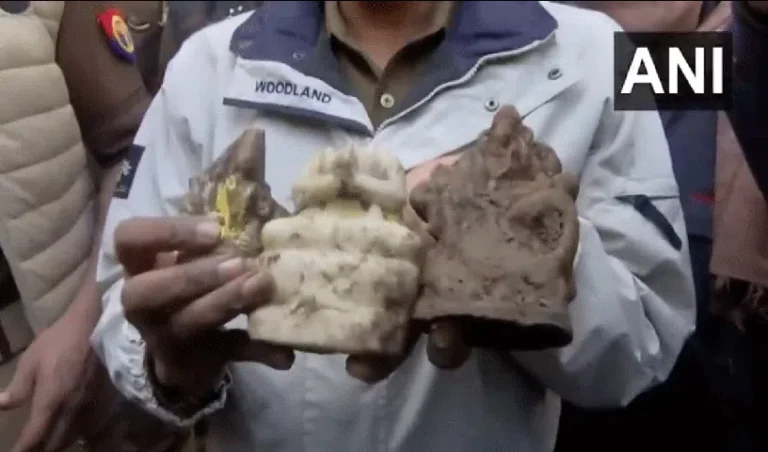 sambhalidols_V_gif--816x480-4g