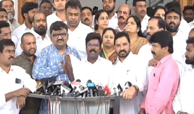 rasamai-brs_V_jpg--816x480-4g