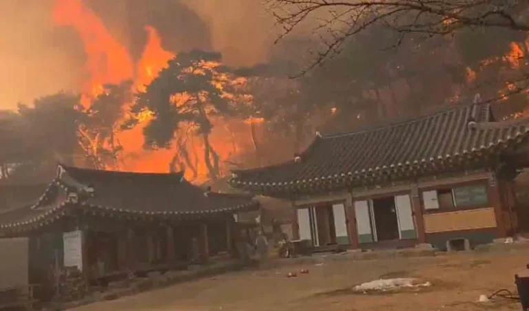 Wildfire_V_jpg--816x480-4g