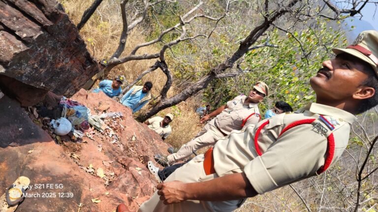 a28e2f8a-a14c-4715-9c14-d8884b55f76e