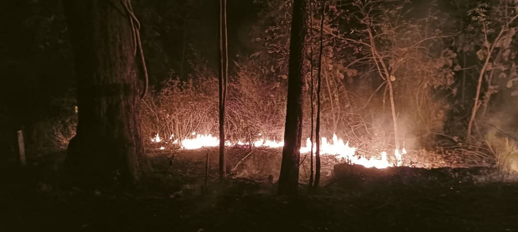 cf6ccf65-1059-4e6d-a04a-9b7661c65db1