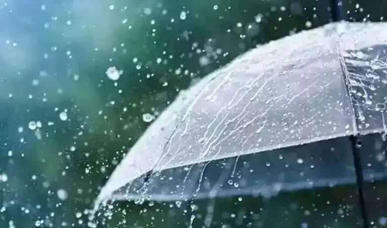 rain-2_V_jpg--816x480-3g