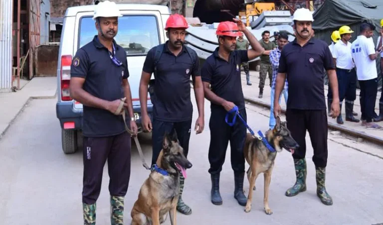 slbc-1_V_jpg--816x480-4g