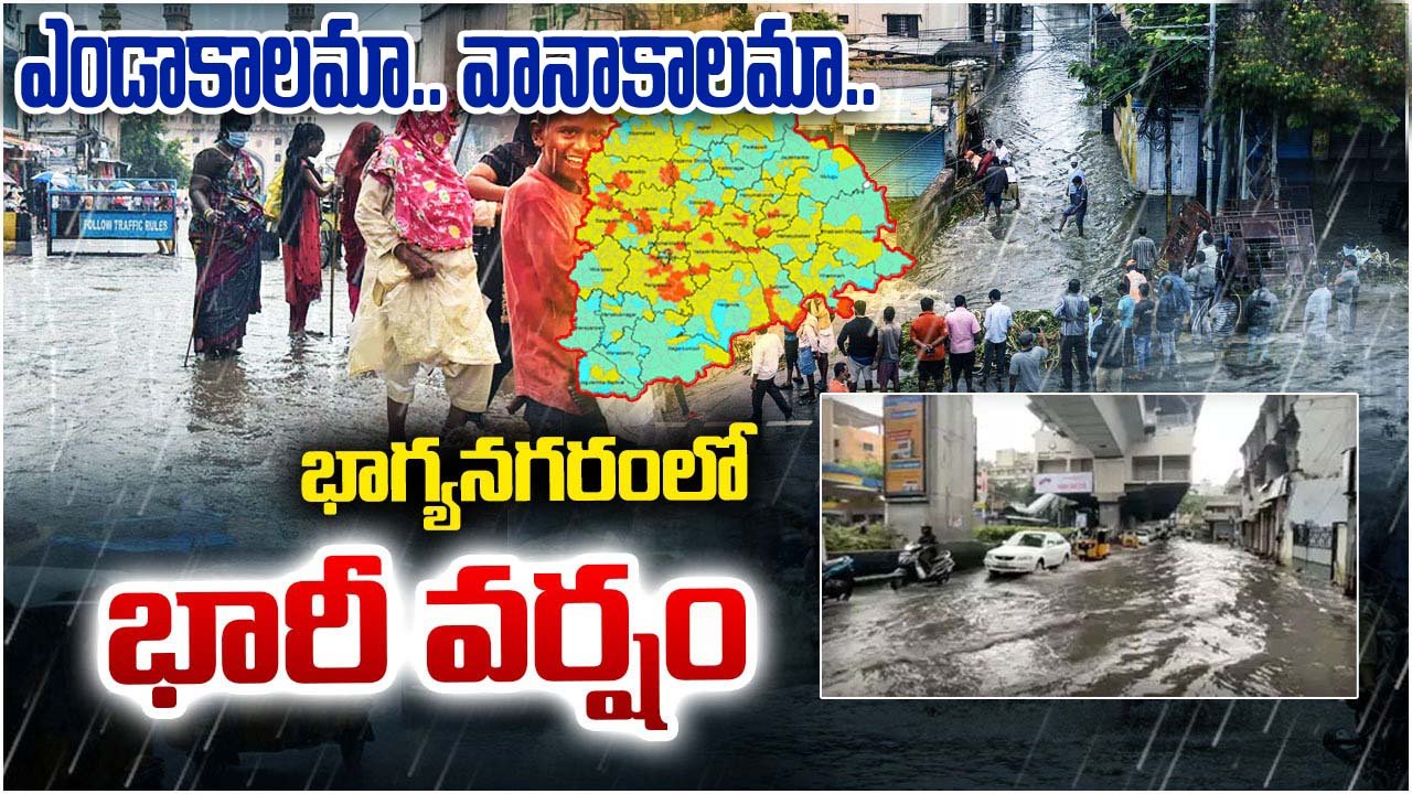 WhatsApp-Image-2025-04-10-at-16.01