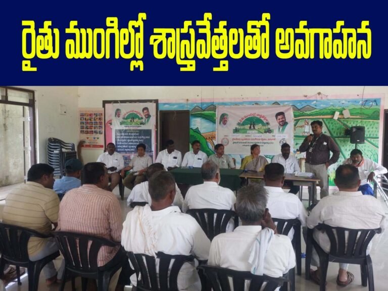 c6c0ee56-3e18-4bbb-9cc6-ccb2e4d3948a copy