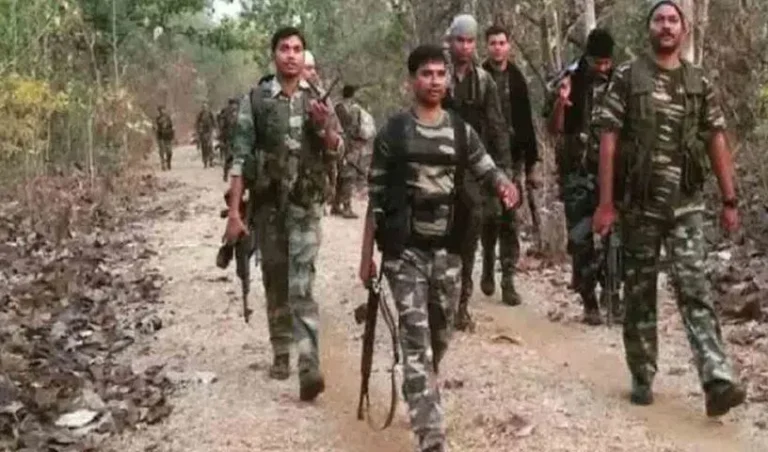 kagar-1_V_jpg--816x480-4g