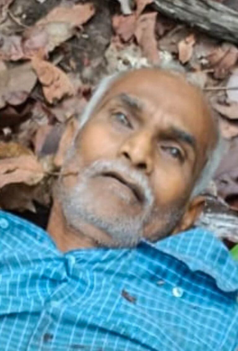 28615a49-07e2-4bd6-9da0-795c071b60fa