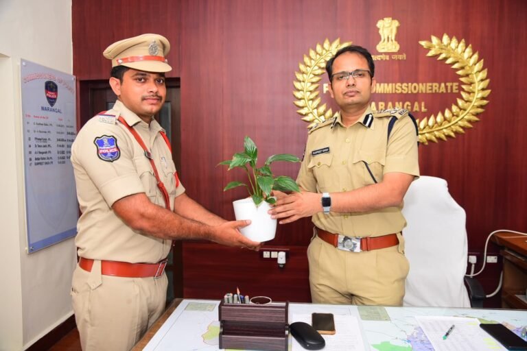 48935b1c-66ee-44f6-81e1-9b00269c77b5