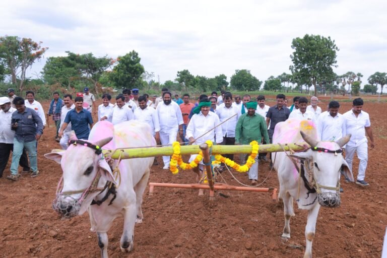 5430bd65-ddeb-4efc-bec8-fc7e6fca4974