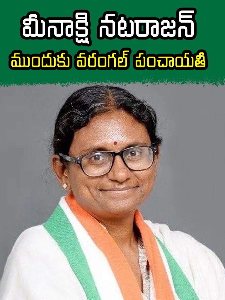 Meenakshi Natarajan