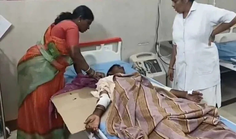 bear_V_jpg--816x480-4g