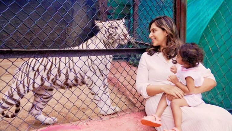 e3072b4c-76f6-4853-868d-535e2a33a80e