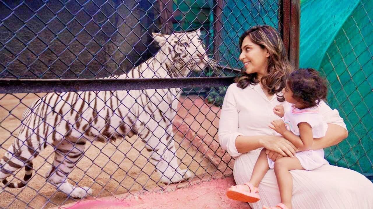 e3072b4c-76f6-4853-868d-535e2a33a80e