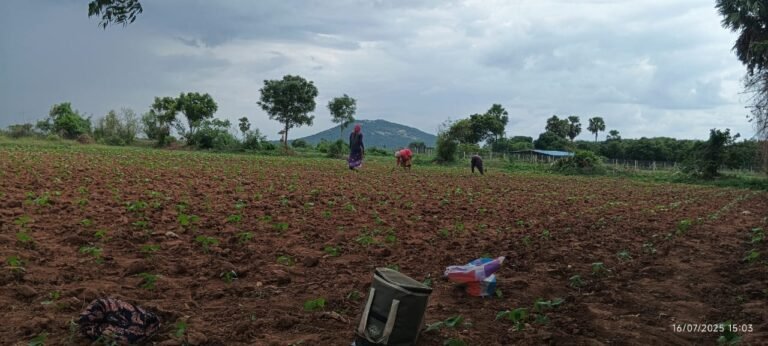 a11afc2f-18a2-4b59-aeec-c7434b45f2e6