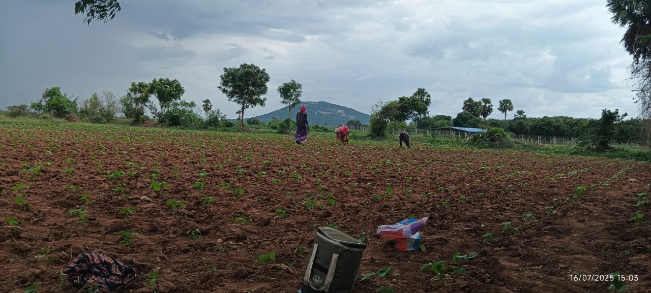 a11afc2f-18a2-4b59-aeec-c7434b45f2e6