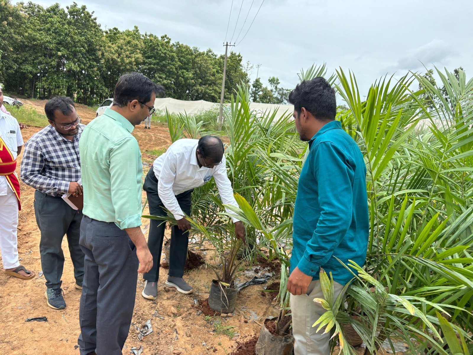 db92207e-7c8c-489d-92b2-8452dd965c11