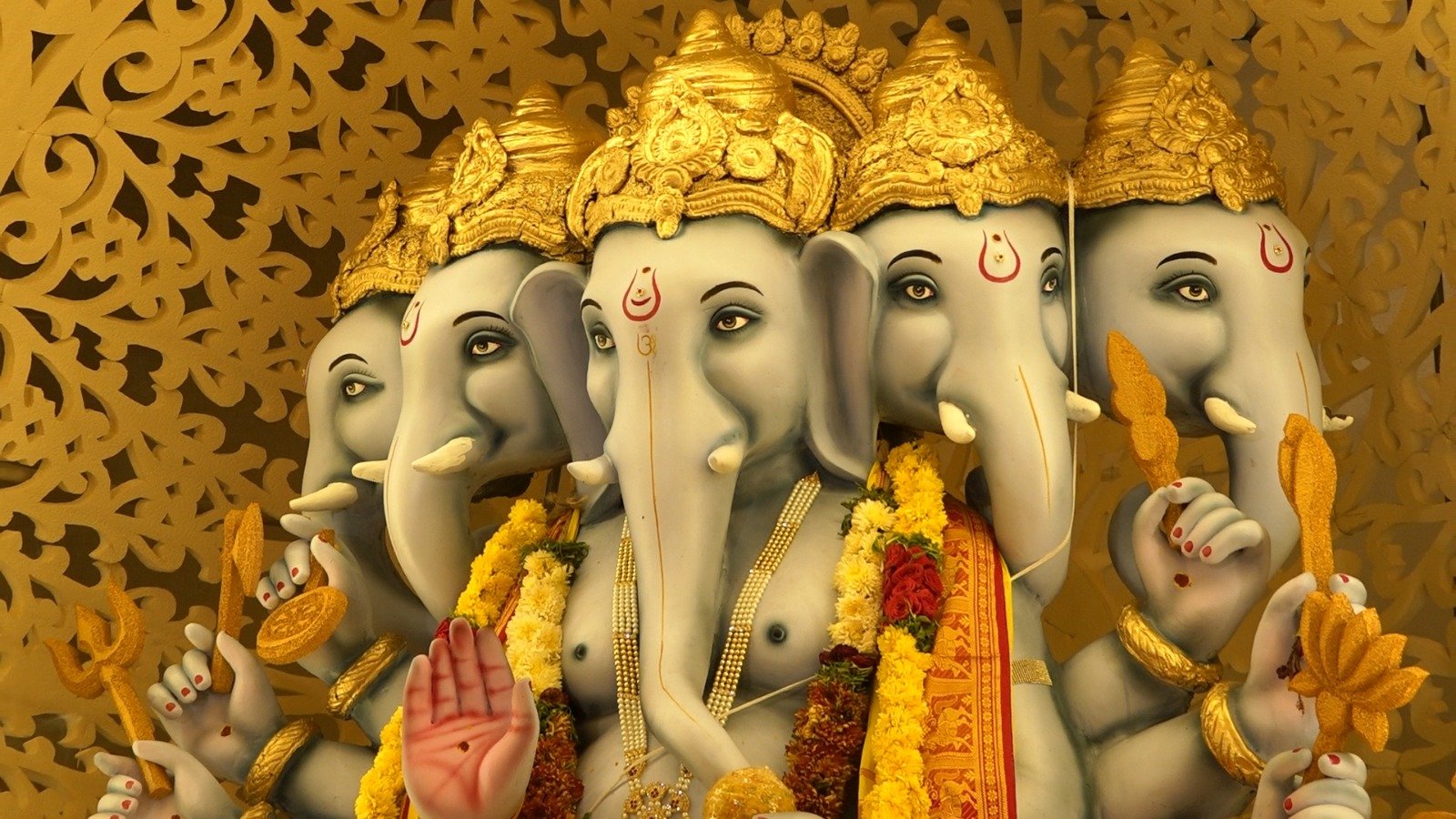 41af7b95-5c03-48ea-beb1-8c05a782510b