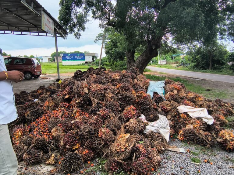 4c2d2600-11f7-495a-8996-1ef8efdc7856