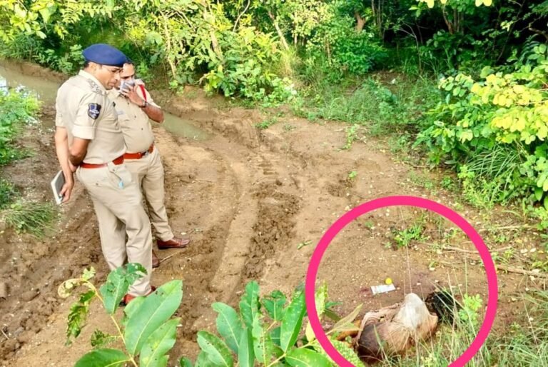 e035f6f5-9f66-4073-805b-694c889b6099