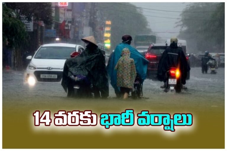 WhatsApp Image 2025-09-11 at 2.25.24 PM (2)