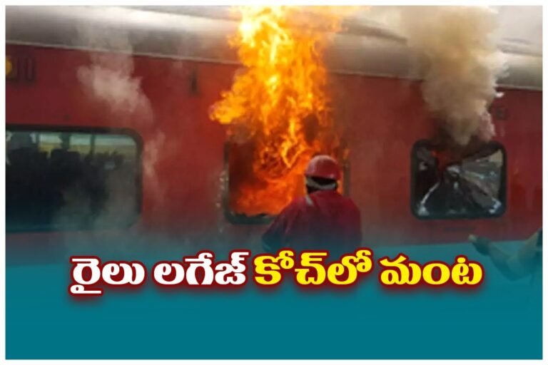 WhatsApp Image 2025-09-11 at 2.25.24 PM