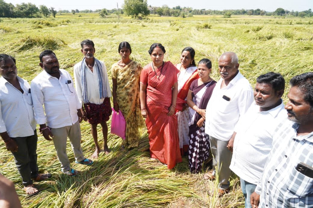 1603d625-0f07-4252-afab-a7ed1729e09a