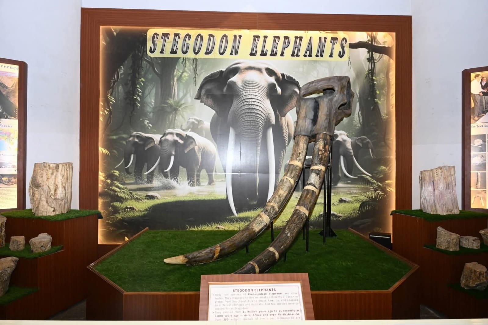 29ff817a-6cfc-4957-a56e-467d9a2f234d