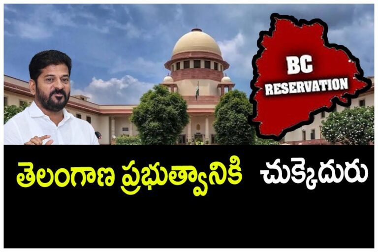 WhatsApp Image 2025-10-16 at 13.31.41