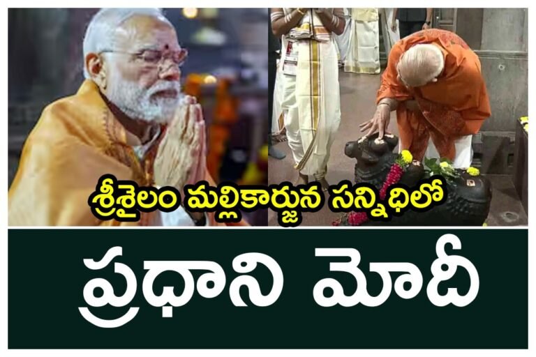 WhatsApp Image 2025-10-16 at 15.19.09