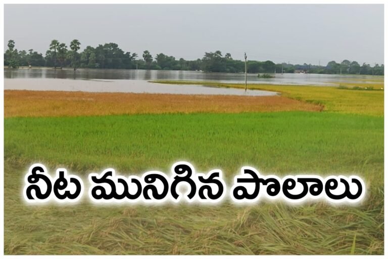 WhatsApp Image 2025-10-30 at 10.40.59 AM