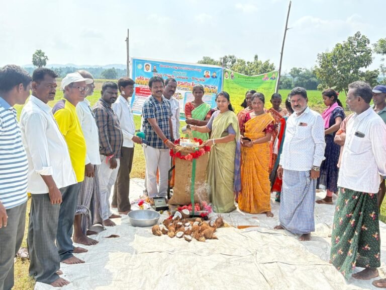 8c420ff7-94c0-4deb-96f9-06811b8b371c