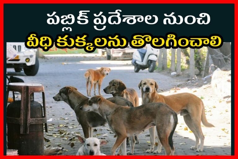 WhatsApp Image 2025-11-07 at 12.08.18_e99db2b6