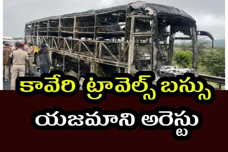 WhatsApp Image 2025-11-07 at 15.17.42_1db1552c