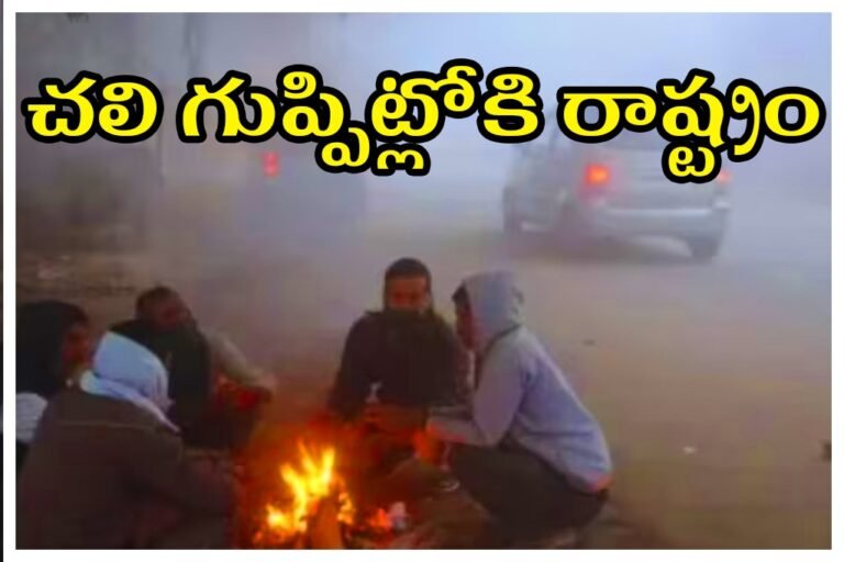 WhatsApp Image 2025-11-07 at 15.42.57_406bc754