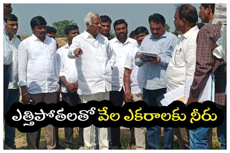 WhatsApp Image 2025-11-07 at 16.06.26_bfc29e76