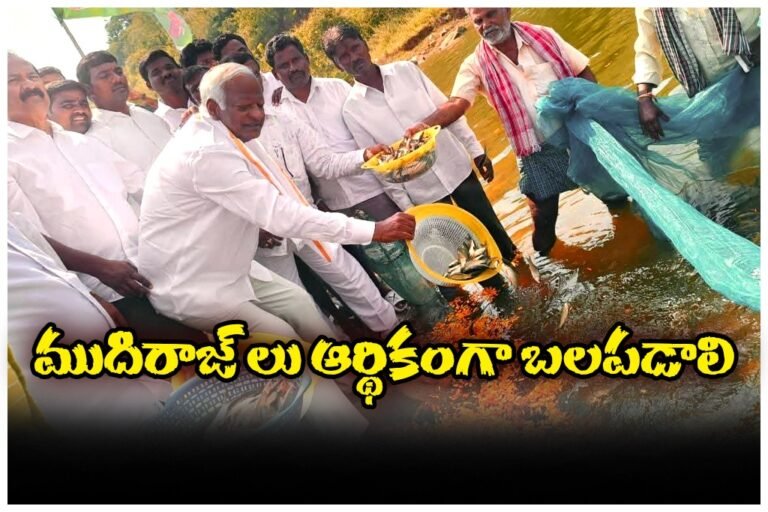 WhatsApp Image 2025-11-07 at 18.02.02_3c287330