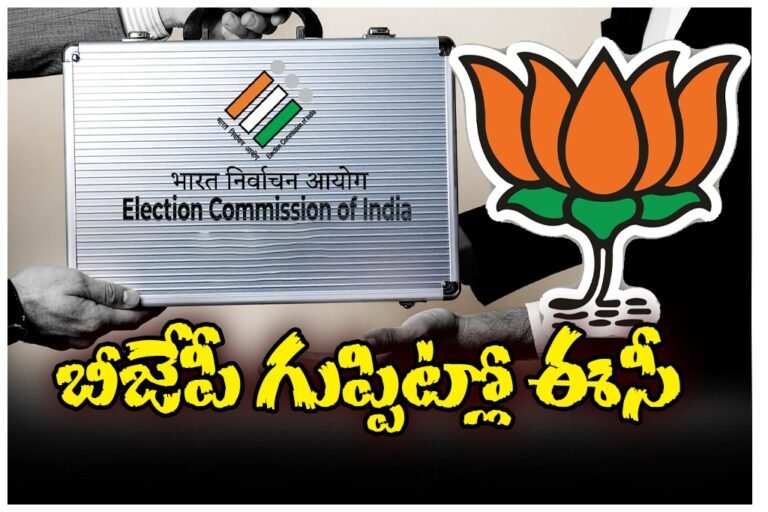 WhatsApp Image 2025-11-08 at 15.09.08_f2ad4c4c