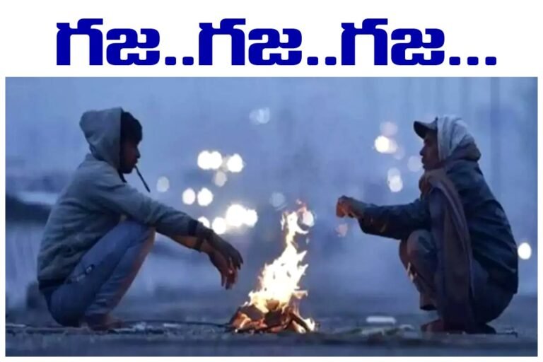 WhatsApp Image 2025-11-13 at 10.20.44_c5117bd0