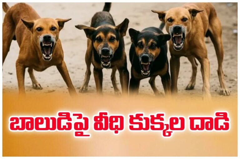 WhatsApp Image 2025-11-13 at 12.29.35_752120b0